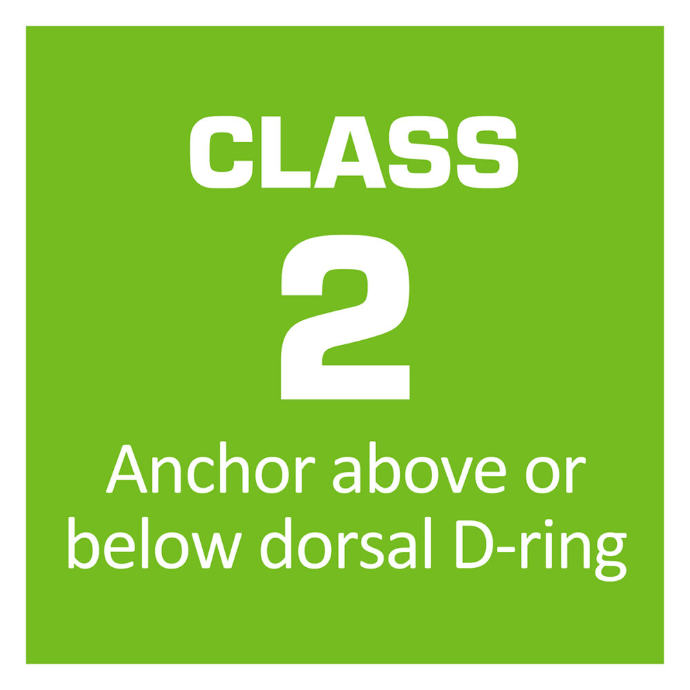 Latitude Edge 6′ Single Web SRL-P Safewaze