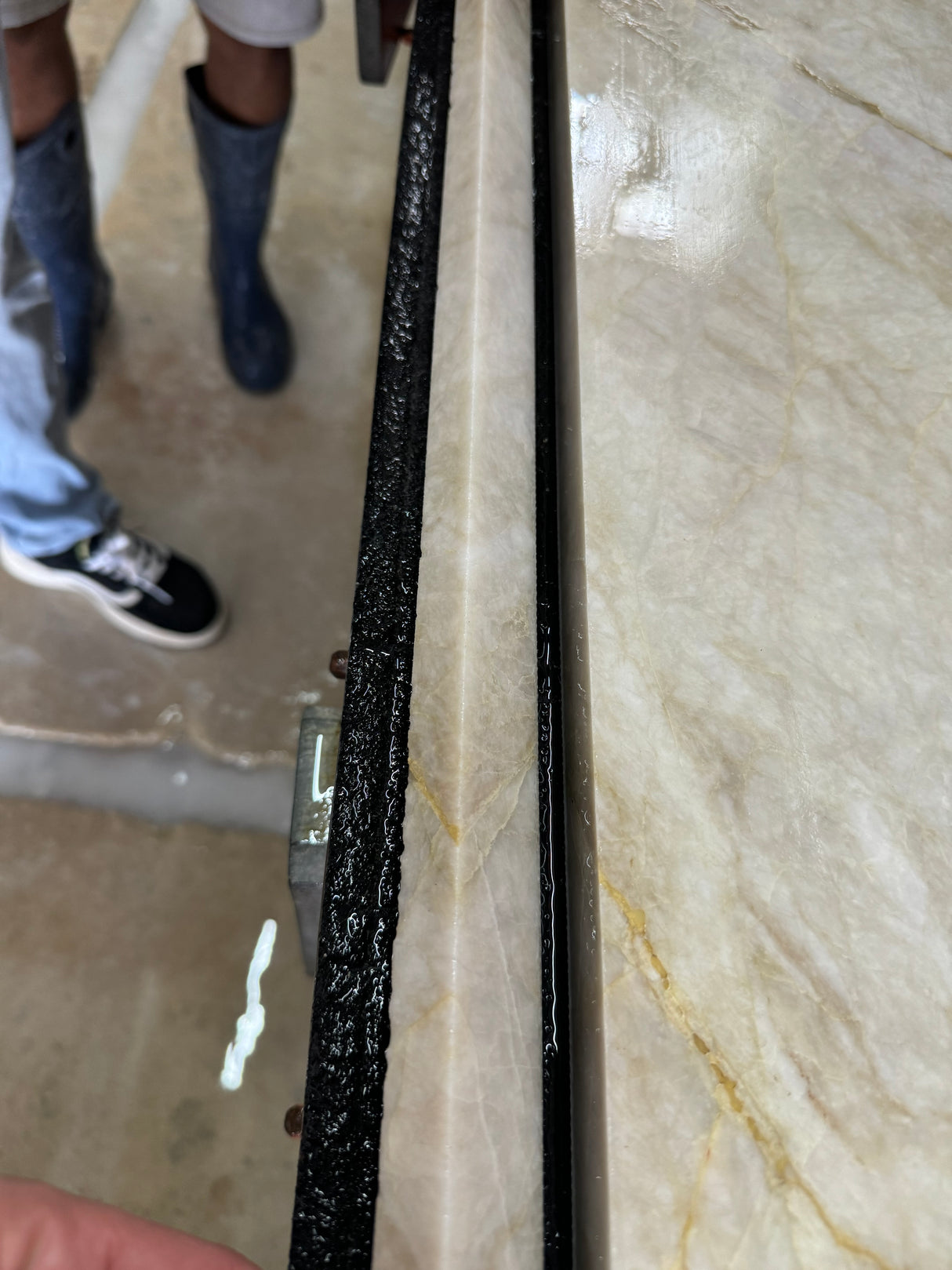 Squid Blade Dia Plus