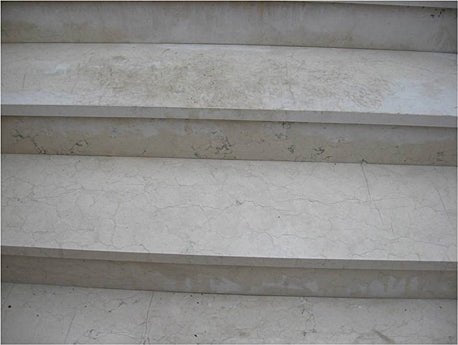 Brio Action Quart - Case of 12 Tenax