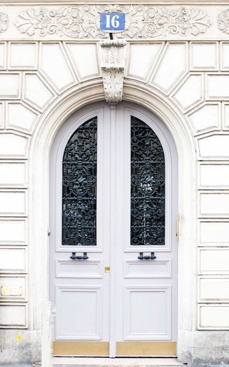 Marseilles Double Iron Doors Custom Iron Door Pros