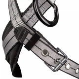 PRO+ Slate Full Body Harness: Alu 3D, Alu QC Chest, TB Legs Safewaze