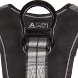PRO+ Slate Full Body Harness: Alu 1D, Alu QC Chest, Alu FD, TB Legs Safewaze