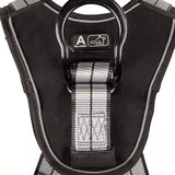 PRO+ Slate Full Body Harness: Alu 1D, Alu QC Chest, TB Legs Safewaze