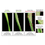 37″ Tie-Back Leg: SL, Alu Snap Hook - Pack of 25 Safewaze