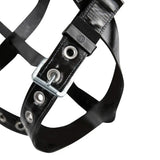 PRO-Shield Full Body Harness: 1D, DE MB Chest, TB Legs Safewaze