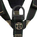 Arc Flash Wind & Tower Harness: 5D, Removable Seat, QC Legs Safewaze