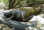 Wetland Bags Mutual Industries