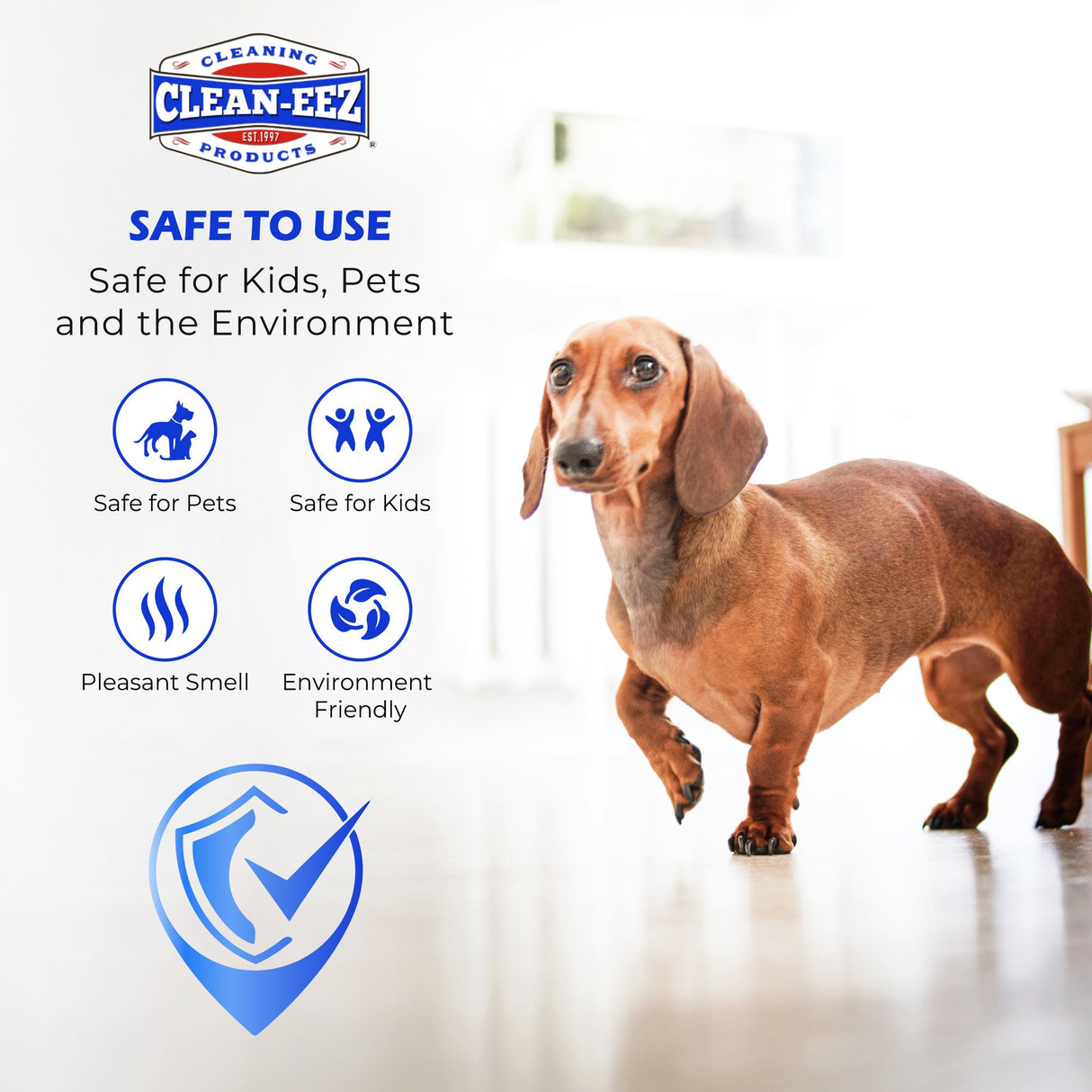 Floor Restorer & Polish W/ Applicator Clean-eez