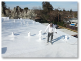 Silicone Roof Seal 100% Waterproof Silicone Roof Coating Bond It