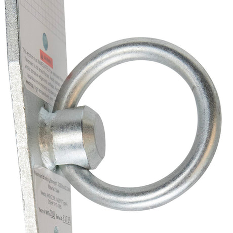 Ring Anchor Safewaze