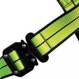 PRO+ Full Body Harness: 1D, QC Chest, FD, QC Legs Safewaze