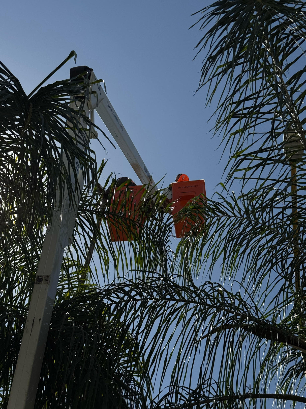 Aerial Lift 13.5 DDI TKA Cranes