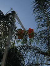 Aerial Lift 13.5 DDI TKA Cranes