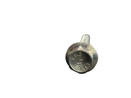 1/2" Stainless Steel Concrete Bolt (Sup-R) MKT