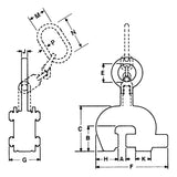 Caldwell Model SCPA Locking Screw Type Vertical & Side Pull Lifting Clamp Caldwell