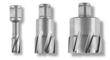 FEIN Slugger Carbide Cutter - 3/4 in Straight Shank 63127686110 FEIN 2-1/8 x 4 in