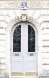 Marseilles Double Iron Doors Custom Iron Door Pros
