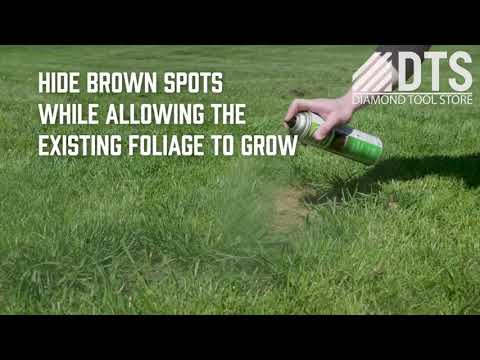 Grass & Shrub Renew - Case of 12 Seymour