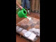 Cobble Prep - Efflorescence & Organic Stain Remover Surface Logix