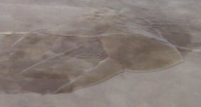 Sealer Stripper Clemons Concrete Coatings