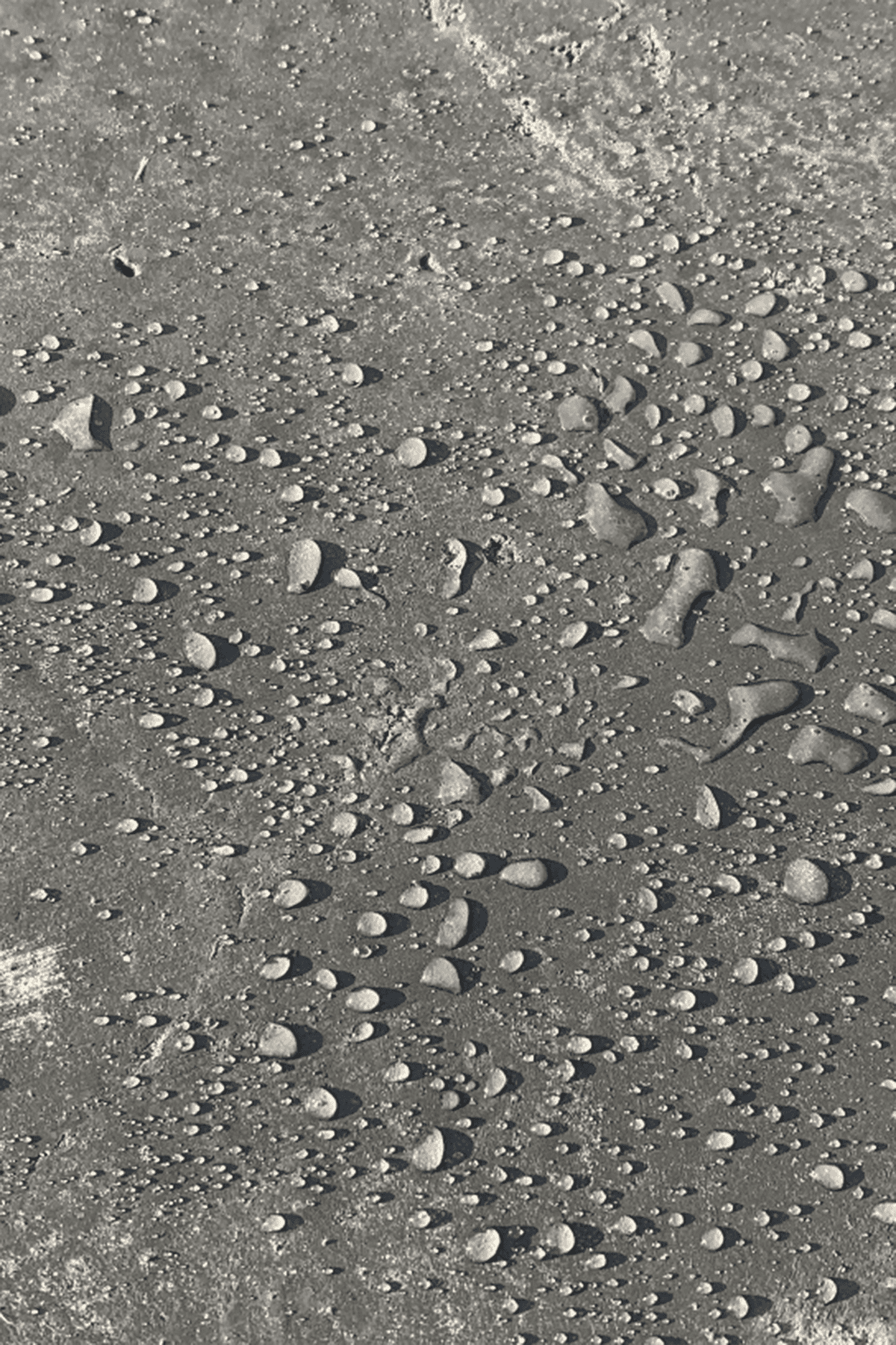 Natural Stone Treatment WB Water Repellent - Bulk Prosoco