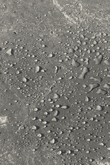Natural Stone Treatment WB Water Repellent - Bulk Prosoco