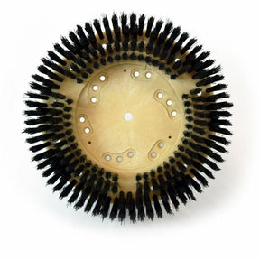 Carpet Shampoo Scrub Polypropylene Brush w/ Clutch Plate and Riser 812411 Malish 11"