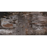 CD Mastidek Fast Outdoor Cartridge Glue Radium (Radium, Trilium) 215 ml - Pack of 2 Tenax