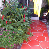 Colorcrete Surface Logix