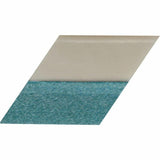 Diamabrush Polymer Tools with Clutch Plate & Riser Diamabrush