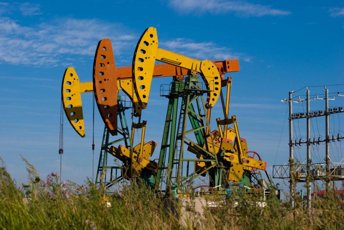 Eco-Shell Walnut Shells for the Oil Industry Eco-Shell