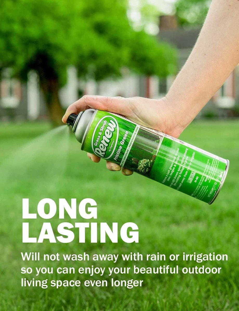 Grass & Shrub Renew - Case of 12 Seymour