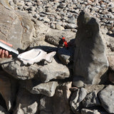 High Tack Construction Adhesive (9.8 FL Oz.) White - Case of 12 Kraken Bond