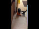 TigerHawk 1410 Small Area Orbital Floor Machines Hawk Enterprises