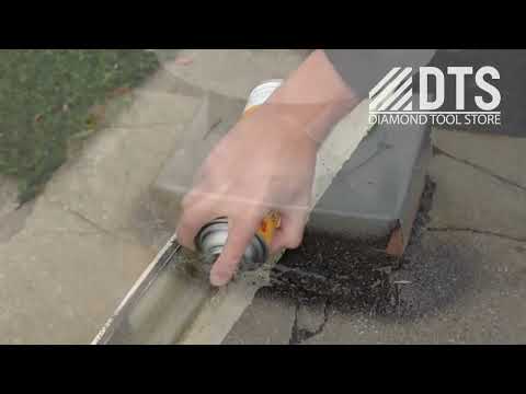 Rapid Seal - Case of 12 Seymour