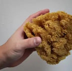NATURAL GRASS SEA SPONGES FOR PAINTING Trimaco