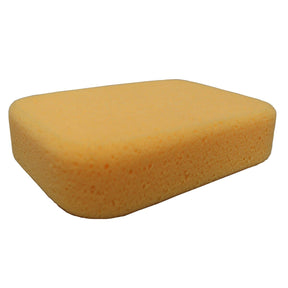 RTC Hydra Grouting Sponges TGM RTC Products Medium (4" x 6" x 2")