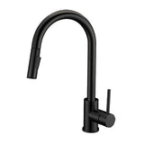 Signature 16 7/8 Inch Single Hole Pull-Down Kitchen Faucet Dakota Sinks