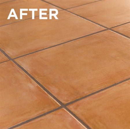 Tenax Booster 1 Liter - Case of 18 Tenax