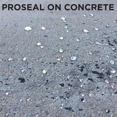 Tenax Proseal P Tenax